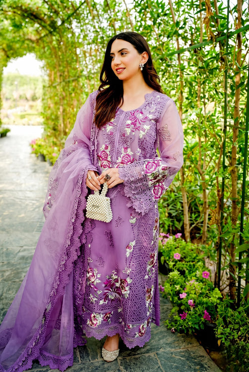 Aneela's